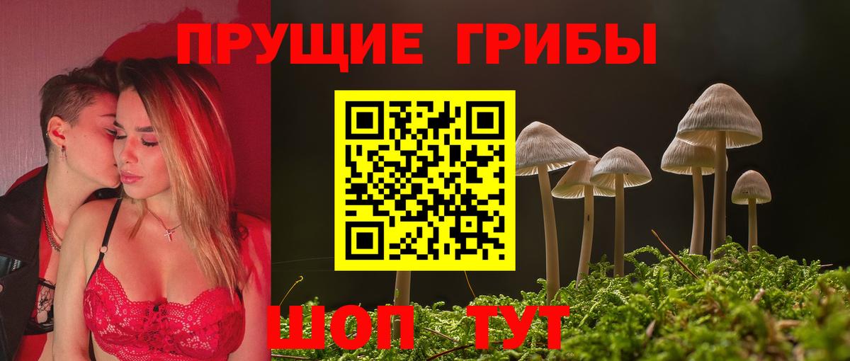 Псилоцибиновые грибы GOLDEN TEACHER Кохма
